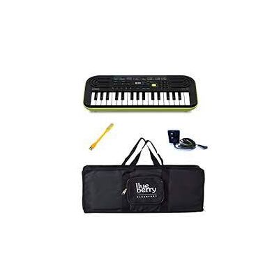 Casio sales essay 47
